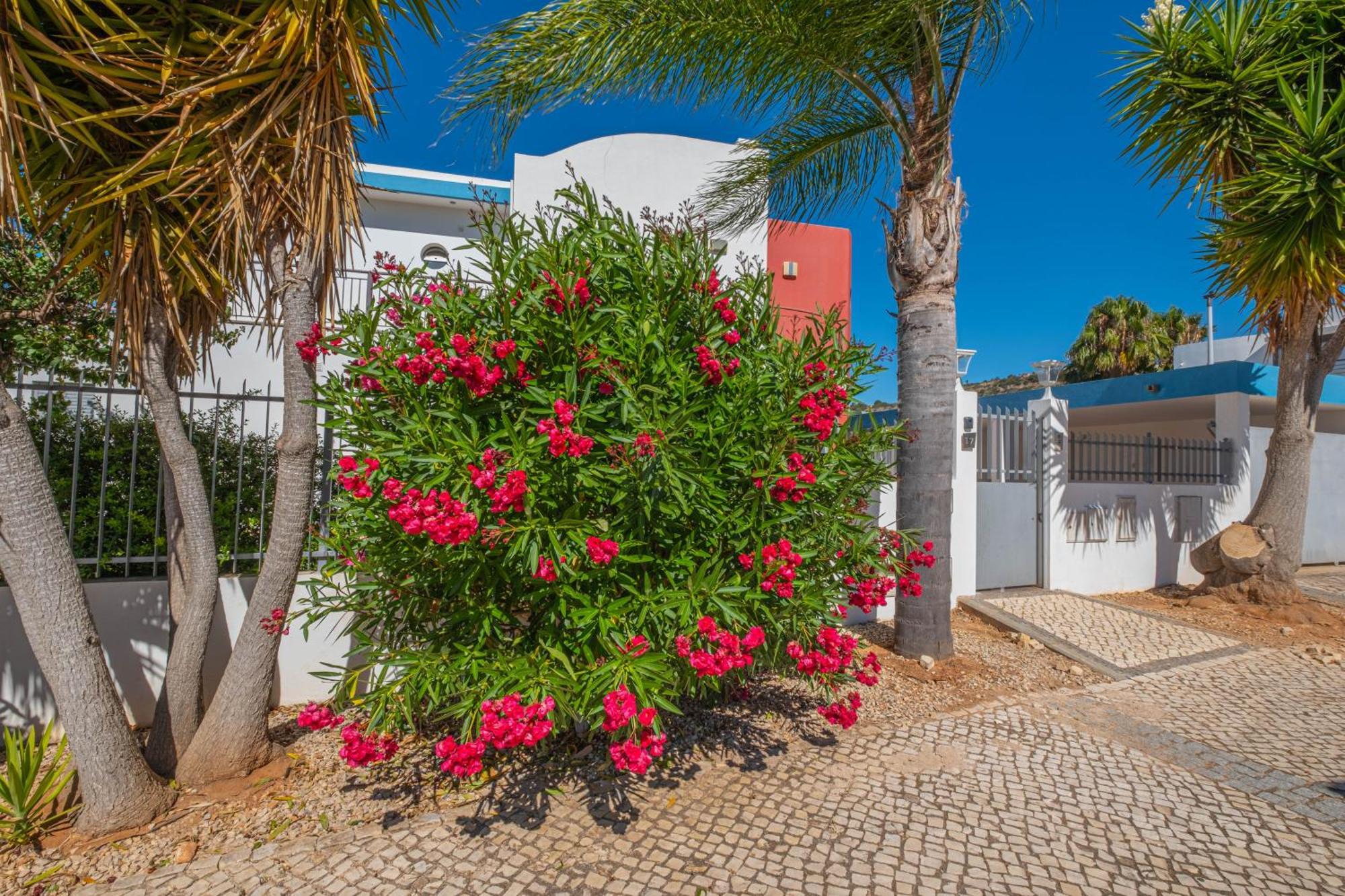 Capetown Marina Luxury Villa - Private Pool 阿尔布费拉 外观 照片